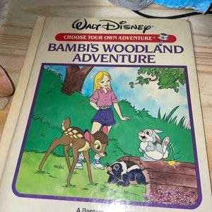 Barbie’s wonderland book